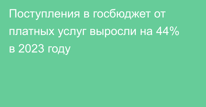 Поступления в госбюджет от платных услуг выросли на 44% в 2023 году