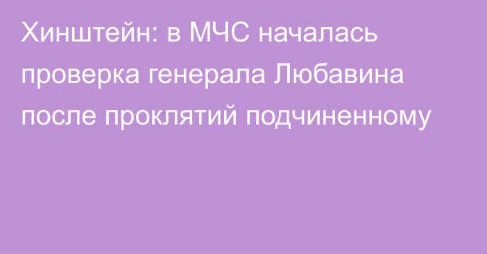 Хинштейн: в МЧС началась проверка генерала Любавина после проклятий подчиненному