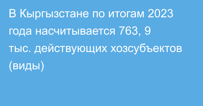 В Кыргызстане по итогам 2023 года насчитывается 763, 9 тыс. действующих хозсубъектов (виды)