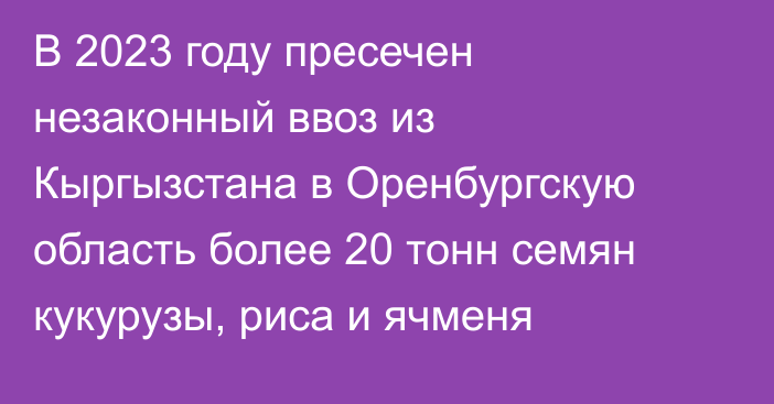 В 2023 году пресечен незаконный ввоз из Кыргызстана в Оренбургскую область более 20 тонн семян кукурузы, риса и ячменя