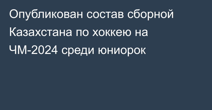 Опубликован состав сборной Казахстана по хоккею на ЧМ-2024 среди юниорок