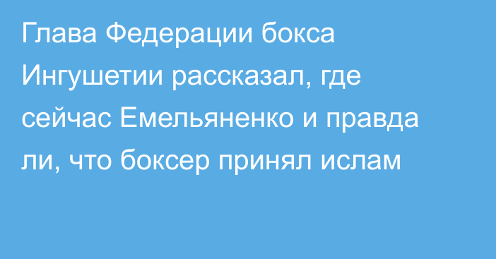 Глава Федерации бокса Ингушетии рассказал, где сейчас Емельяненко и правда ли, что боксер принял ислам