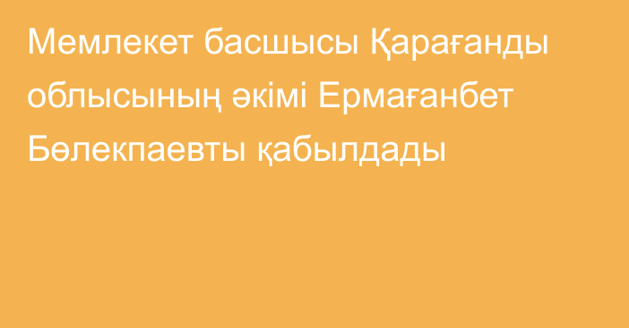 Мемлекет басшысы Қарағанды облысының әкімі Ермағанбет Бөлекпаевты қабылдады