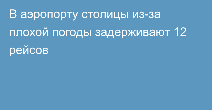 В аэропорту столицы из-за плохой погоды задерживают 12 рейсов