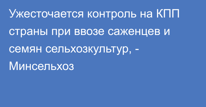 Ужесточается контроль на КПП страны при ввозе саженцев и семян сельхозкультур, - Минсельхоз