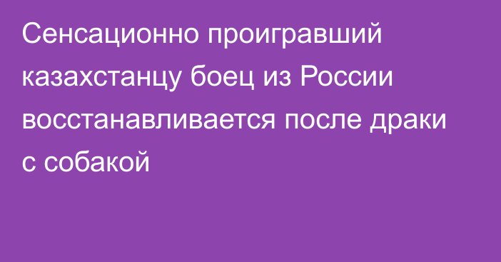 Сенсационно проигравший казахстанцу боец из России восстанавливается после драки с собакой