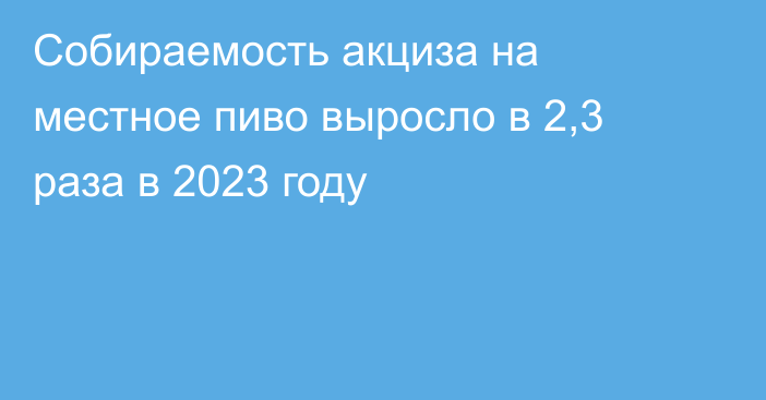 Собираемость акциза на местное пиво выросло в 2,3 раза в 2023 году