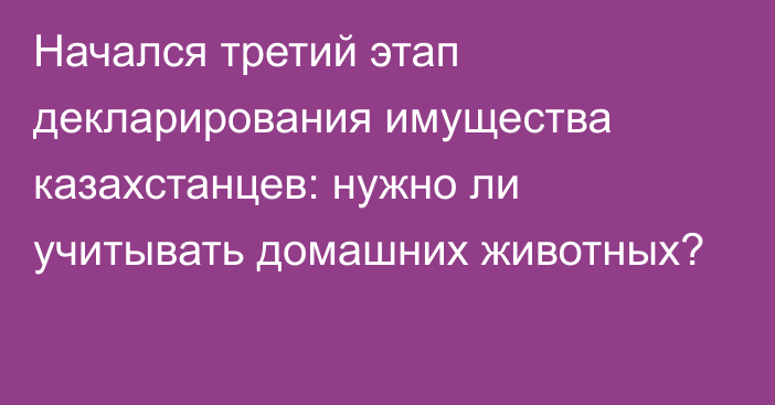 Начался третий этап декларирования имущества казахстанцев: нужно ли учитывать домашних животных?