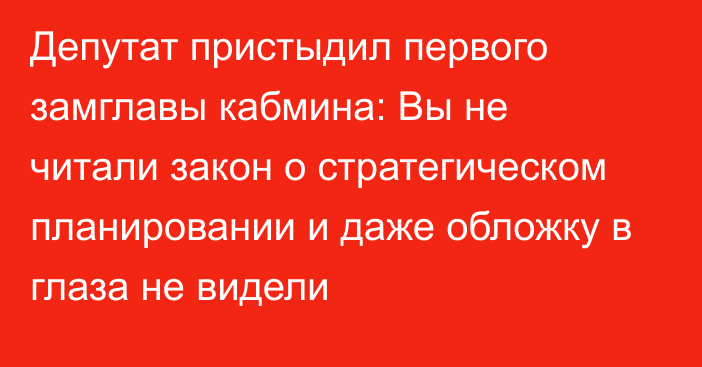 Депутат пристыдил первого замглавы кабмина: Вы не читали закон о стратегическом планировании и даже обложку в глаза не видели