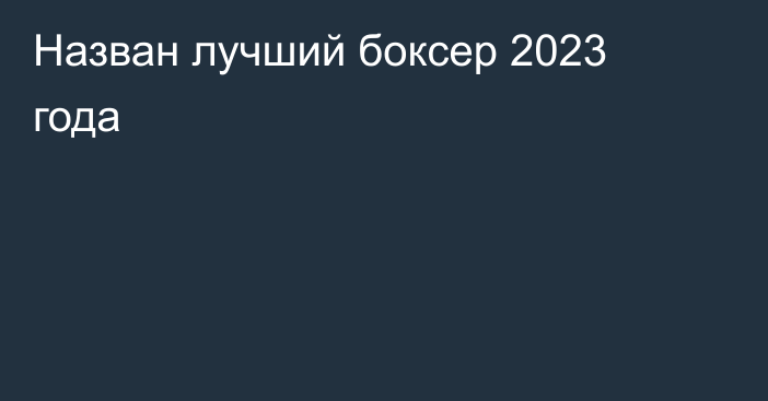 Назван лучший боксер 2023 года