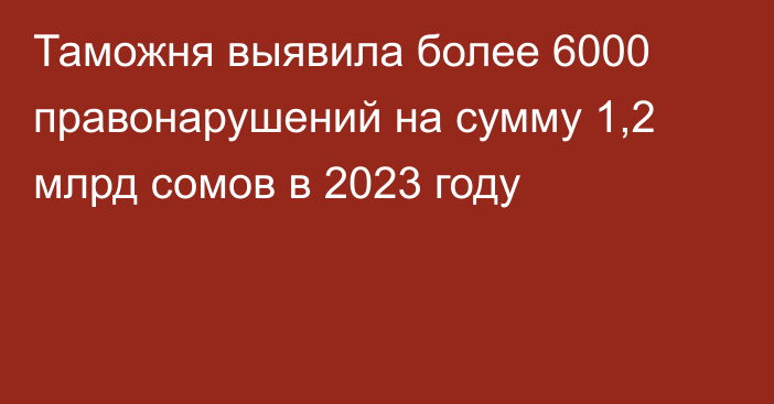 Таможня выявила более 6000 правонарушений на сумму 1,2 млрд сомов в 2023 году