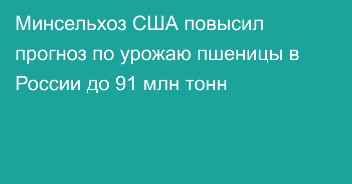 Минсельхоз США повысил прогноз по урожаю пшеницы в России до 91 млн тонн