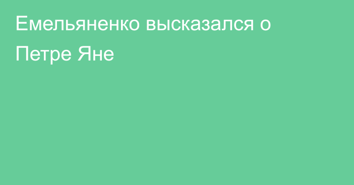 Емельяненко высказался о Петре Яне