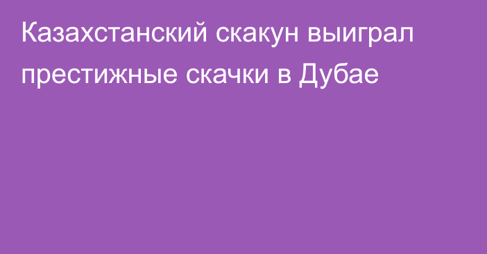 Казахстанский скакун выиграл престижные скачки в Дубае