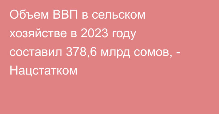 Объем ВВП в сельском хозяйстве в 2023 году составил 378,6 млрд сомов, - Нацстатком