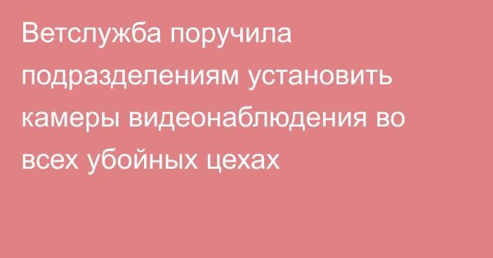 Ветслужба поручила подразделениям установить камеры видеонаблюдения во всех убойных цехах 