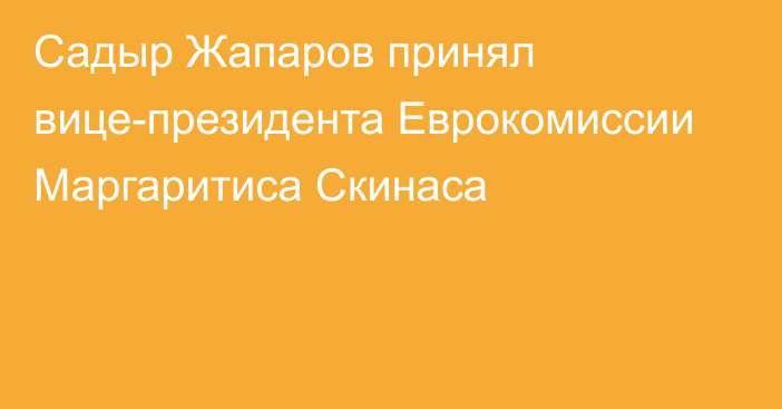 Садыр Жапаров принял вице-президента Еврокомиссии Маргаритиса Скинаса