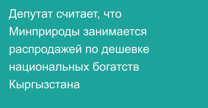 Депутат считает, что Минприроды занимается распродажей по дешевке национальных богатств Кыргызстана