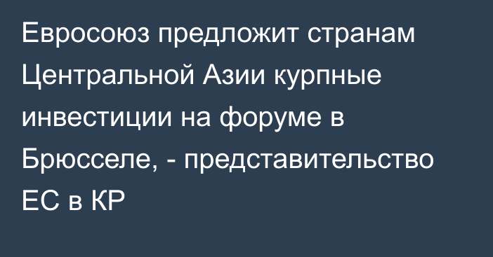 Евросоюз предложит странам Центральной Азии курпные инвестиции на форуме в Брюсселе, - представительство ЕС в КР