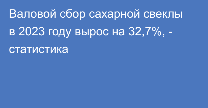 Валовой сбор сахарной свеклы в 2023 году вырос на 32,7%, - статистика