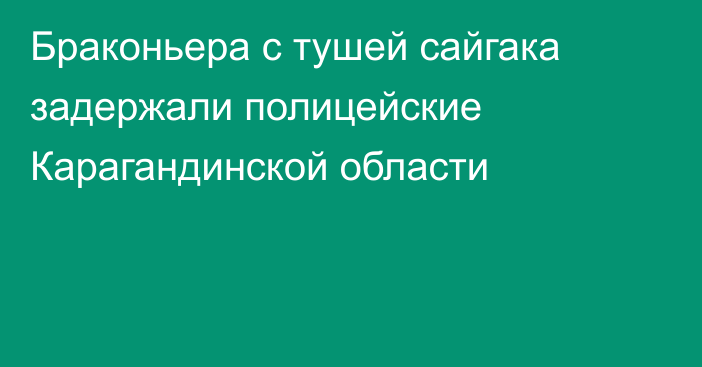 Браконьера с тушей сайгака задержали полицейские Карагандинской области