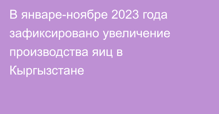 В январе-ноябре 2023 года зафиксировано увеличение производства яиц в Кыргызстане