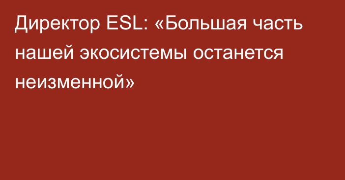 Директор ESL: «Большая часть нашей экосистемы останется неизменной»