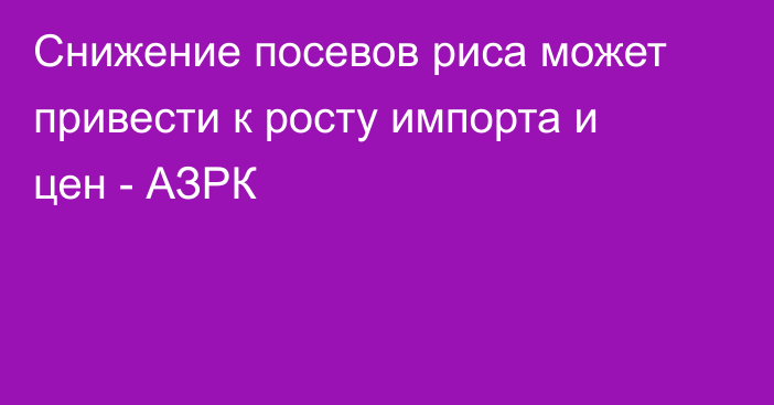 Снижение посевов риса может привести к росту импорта и цен - АЗРК