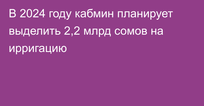 В 2024 году кабмин планирует выделить 2,2 млрд сомов на ирригацию