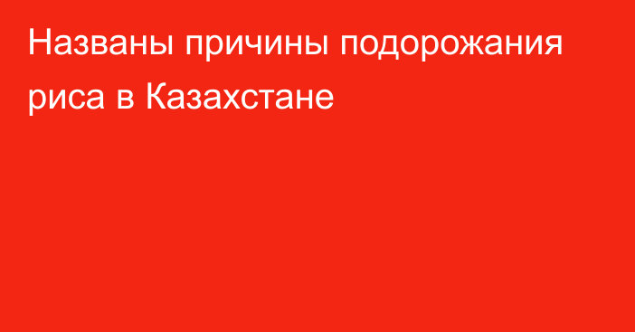 Названы причины подорожания риса в Казахстане