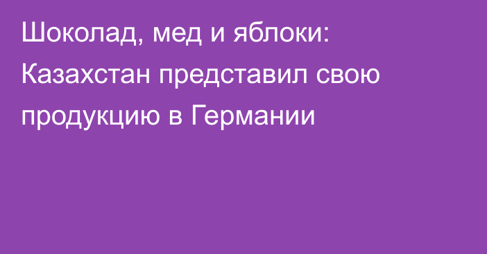 Шоколад, мед и яблоки: Казахстан представил свою продукцию в Германии