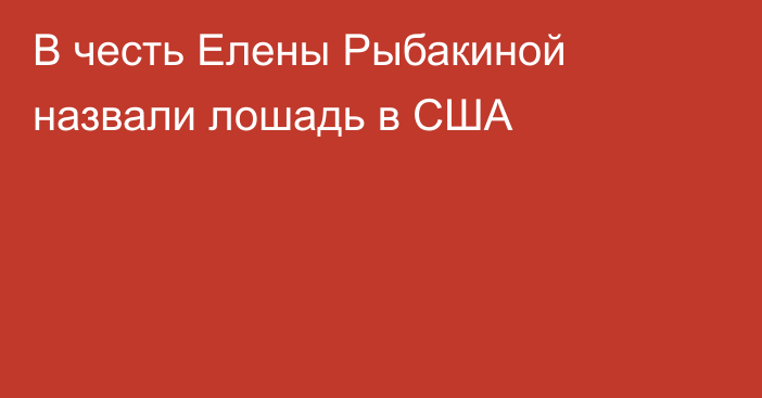 В честь Елены Рыбакиной назвали лошадь в США