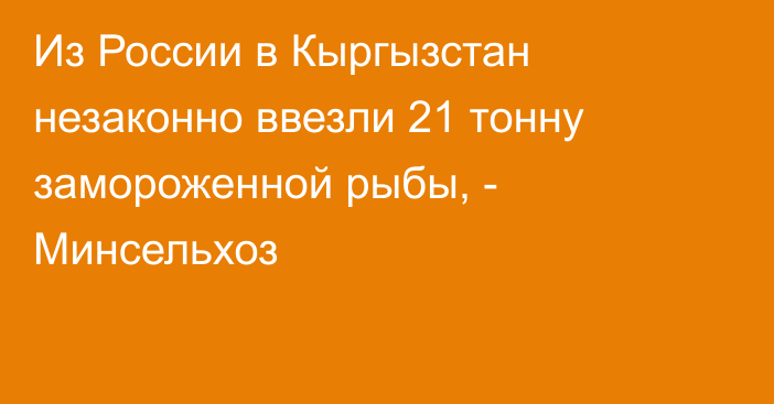 Из России в Кыргызстан незаконно ввезли 21 тонну замороженной рыбы, - Минсельхоз