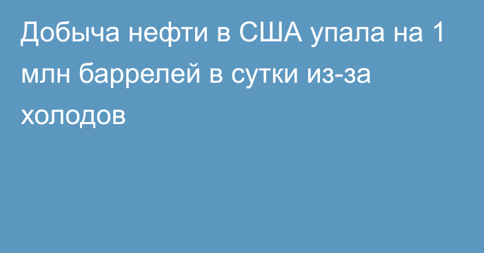 Добыча нефти в США упала на 1 млн баррелей в сутки из-за холодов