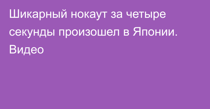 Шикарный нокаут за четыре секунды произошел в Японии. Видео