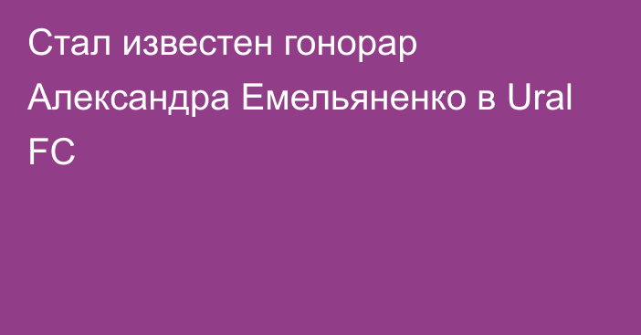 Стал известен гонорар Александра Емельяненко в Ural FC