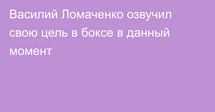 Василий Ломаченко озвучил свою цель в боксе в данный момент