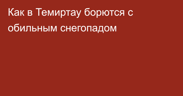 Как в Темиртау борются с обильным снегопадом