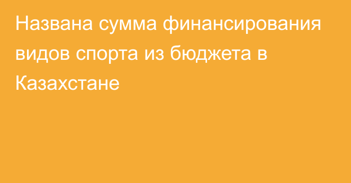 Названа сумма финансирования видов спорта из бюджета в Казахстане