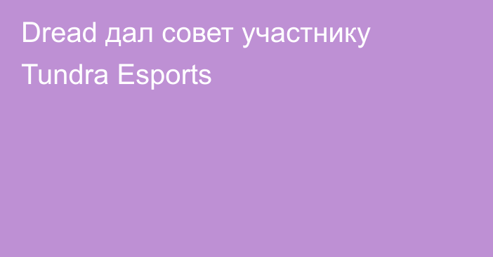 Dread дал совет участнику Tundra Esports