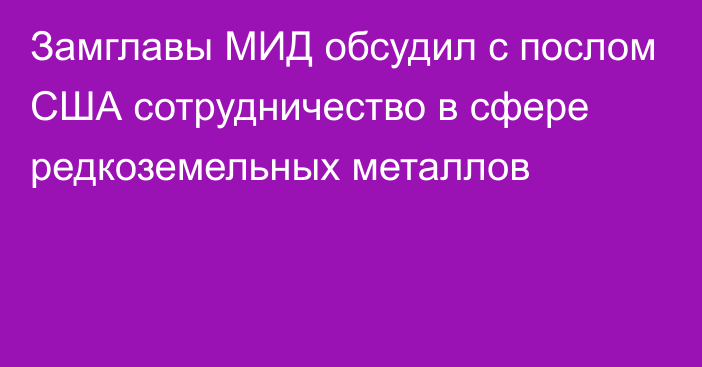 Замглавы МИД обсудил с послом США сотрудничество в сфере редкоземельных металлов