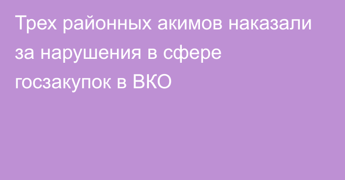 Трех районных акимов наказали за нарушения в сфере госзакупок в ВКО