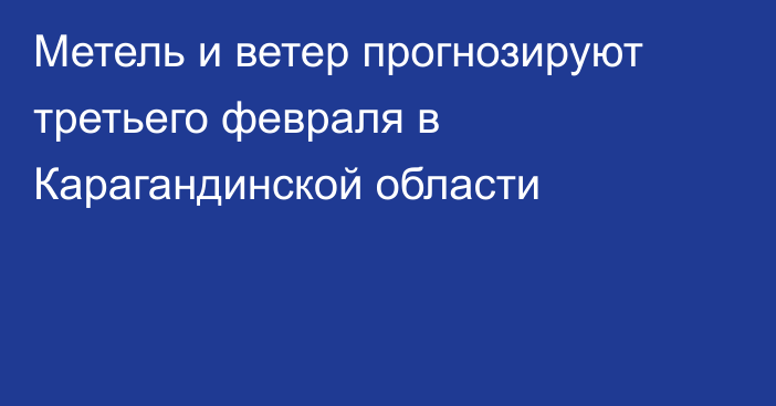 Метель и ветер прогнозируют третьего февраля в Карагандинской области