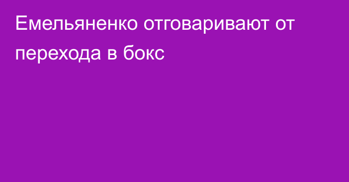 Емельяненко отговаривают от перехода в бокс