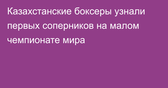 Казахстанские боксеры узнали первых соперников на малом чемпионате мира