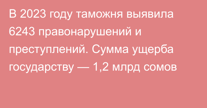 В 2023 году таможня выявила 6243 правонарушений и преступлений. Сумма ущерба государству — 1,2 млрд сомов