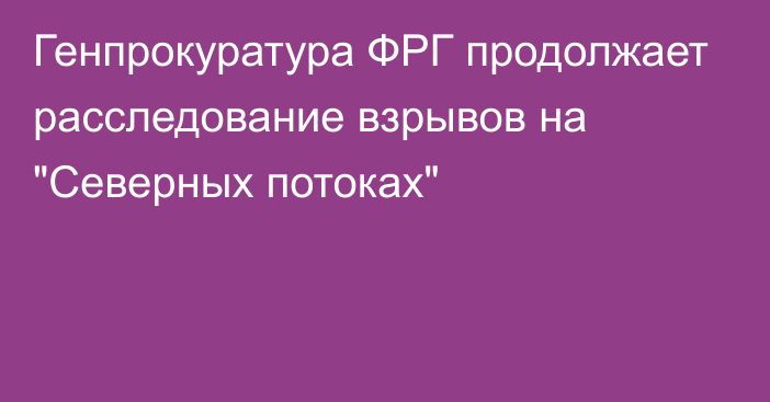 Генпрокуратура ФРГ продолжает расследование взрывов на 