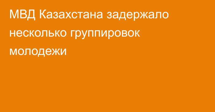 МВД Казахстана задержало несколько группировок молодежи