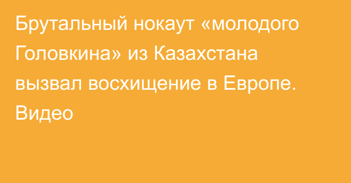 Брутальный нокаут «молодого Головкина» из Казахстана вызвал восхищение в Европе. Видео