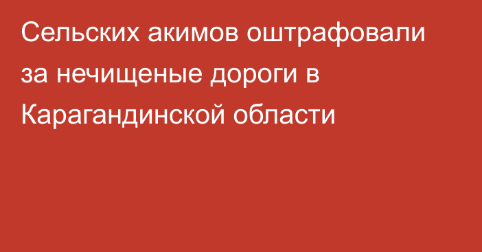 Сельских акимов оштрафовали за нечищеные дороги в Карагандинской области